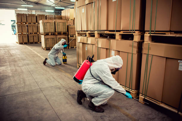 Best Best Pest Control Companies  in Southern Pines, NC