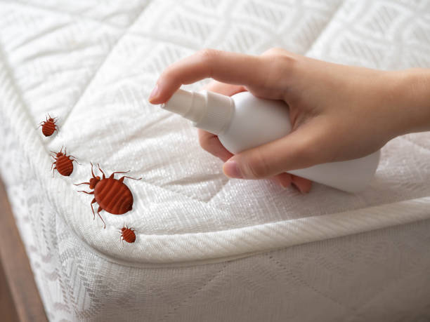 Best Pest Control Near Me  in Southern Pines, NC