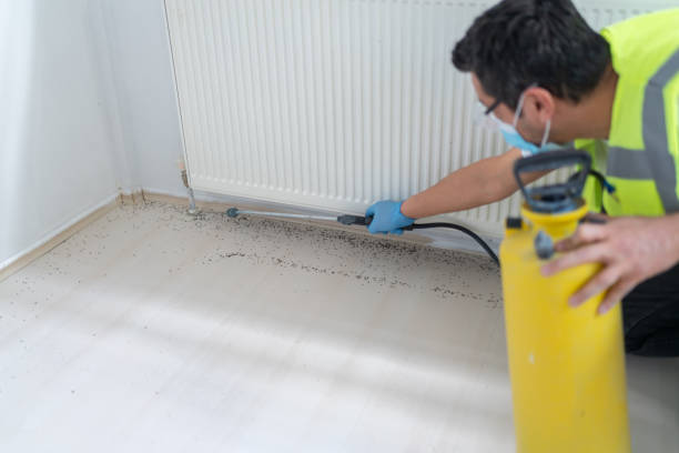 Best Rat Extermination Near Me  in Southern Pines, NC