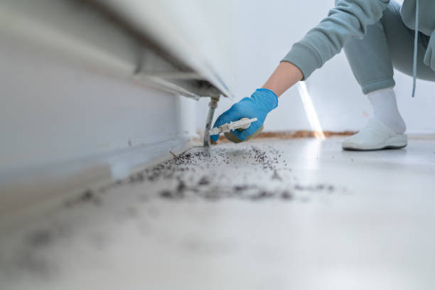 Best Affordable Pest Control Services  in Southern Pines, NC